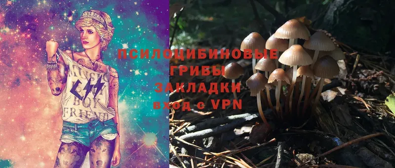 Галлюциногенные грибы Cubensis  Лабытнанги 